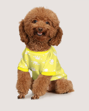 Funatic The Super Bear Paws Yellow Doggie Tee