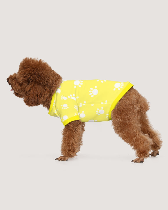 Funatic The Super Bear Paws Yellow Doggie Tee